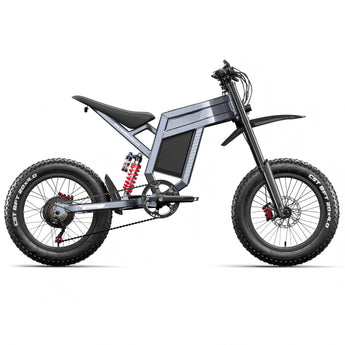 Sophia & william 20-inch aluminum alloy electric bicycle 60V lithium battery adult off-road electric moped.