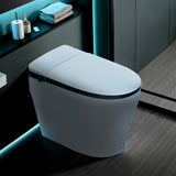 Shop a smart toilet featuring bidet functionality and seat warming.