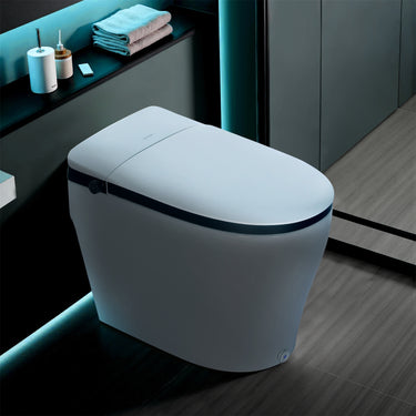 Shop a smart toilet featuring bidet functionality and seat warming.