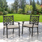 Sophia & William Outdoor Patio Dining Chairs with Seat Cushion, Set of 2